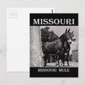 Missouri Mule Postkarte (Vorne/Hinten)