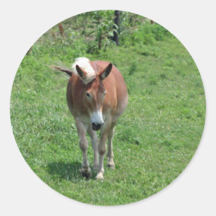 MIssouri Mule Runder Aufkleber