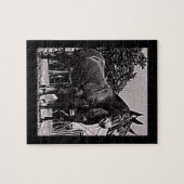 Missouri Puzzle (Horizontal)