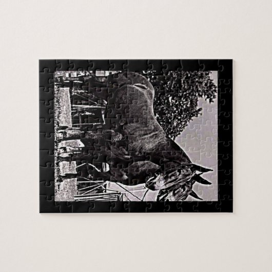 Missouri Puzzle (Horizontal)