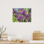 Missouri Redbud Foto Poster (Küche)