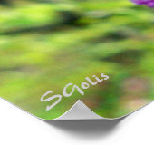 Missouri Redbud Foto Poster (Ecke)