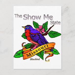 Missouri Show Me Bluebird Postkarte