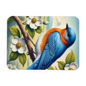 Missouri Staat Bird Eastern Bluebird Magnet (Horizontal)