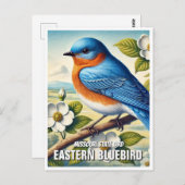 Missouri Staat Bird Eastern Bluebird Postkarte (Vorne/Hinten)
