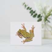 Missouri Tree Frog. Postkarte (Stehend Vorderseite)