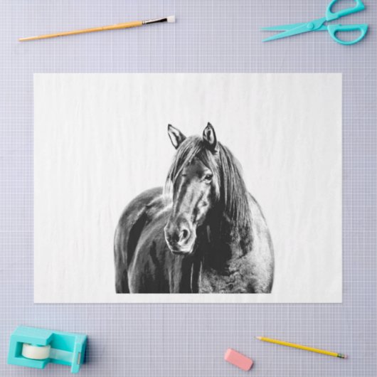 Missouri Wild Horse Seidenpapier (Basteln)