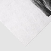 Missouri Wild Horse Seidenpapier (Detail)