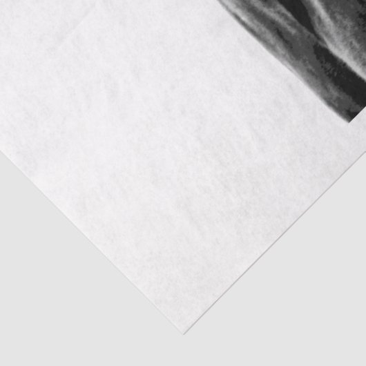 Missouri Wild Horse Seidenpapier (Detail)