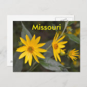 Missouri Yellow Wildblumen Postkarte (Vorne/Hinten)