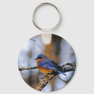 Missouris Vogel-Schlüsselkette Schlüsselanhänger