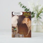 Missy legt Hausregeln fest. Postkarte (Stehend Vorderseite)