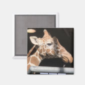 Missy Magnet #1 (Vorderseite/Rückseite)