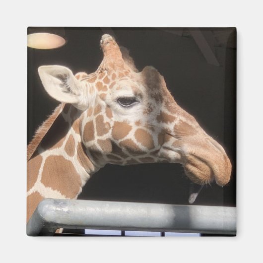 Missy Magnet #1 (Vorne)