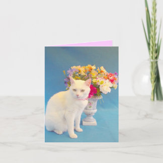 Missy Notecard Karte