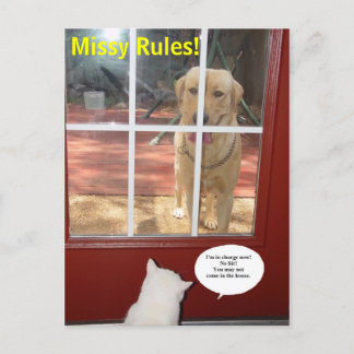 Missy Rules! Postkarte