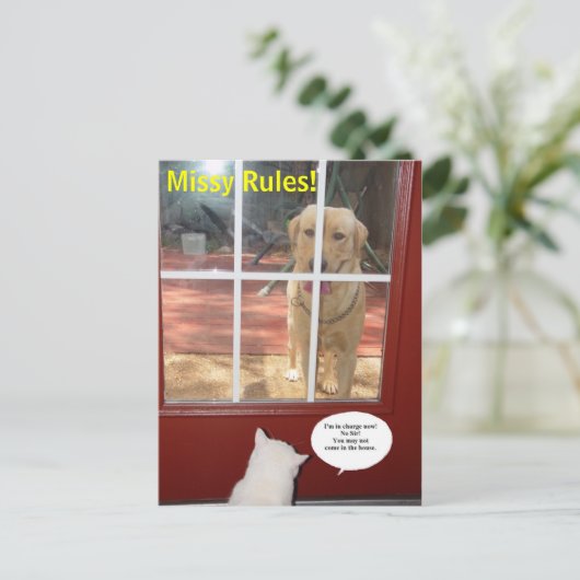 Missy Rules! Postkarte (Stehend Vorderseite)