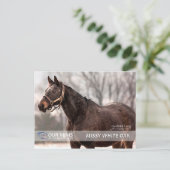 Missy White Oak Postcard Postkarte (Stehend Vorderseite)