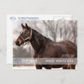 Missy White Oak Postcard Postkarte (Vorne/Hinten)