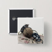 Mist Bettle Button (Vorne & Hinten)