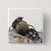 Mist Bettle Button (Vorderseite)