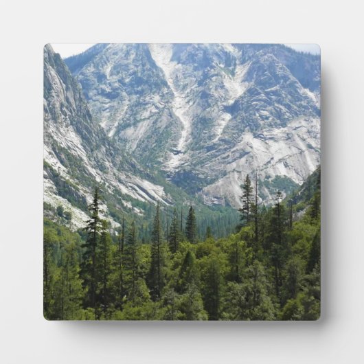 Mist Falls Trail, King's Canyon National Park, CA Fotoplatte (Vorderseite)