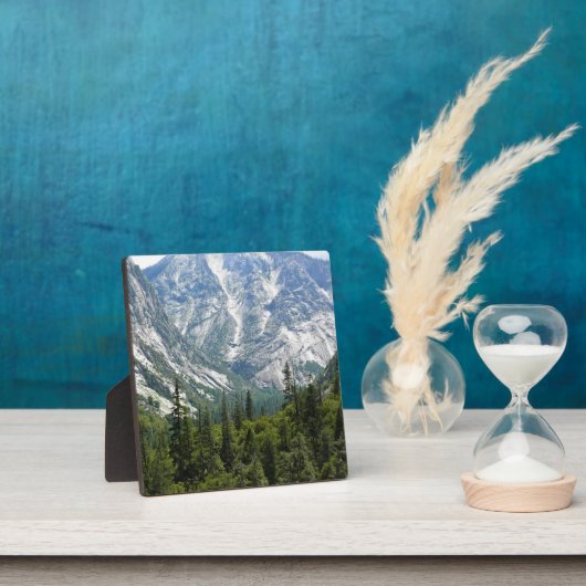 Mist Falls Trail, King's Canyon National Park, CA Fotoplatte (InSitu)