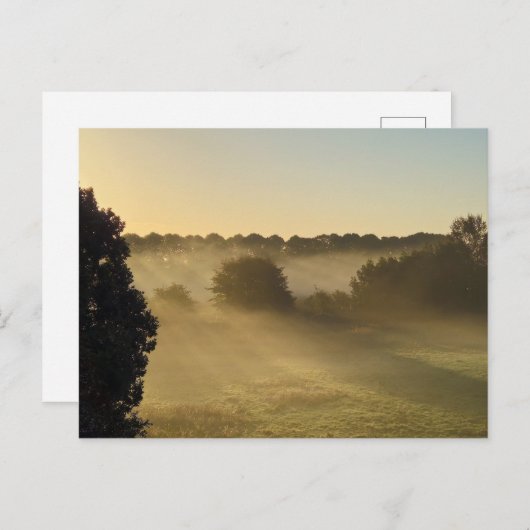 Mist Postkarte (Vorne/Hinten)