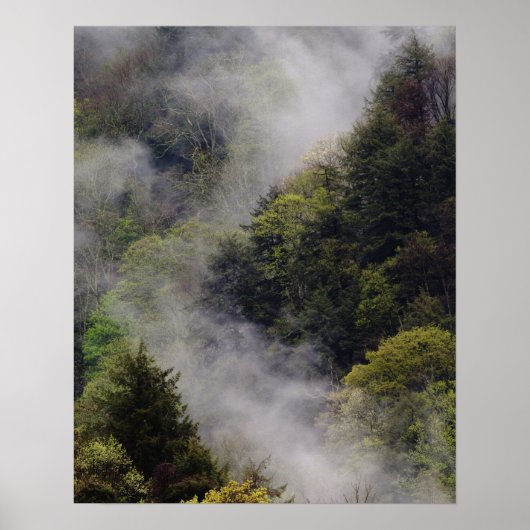 Mist rising from mountainside after spring rain, poster (Vorne)