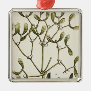 Mistelzweig von "einem neugierigen Kräuter", 1782 Silbernes Ornament