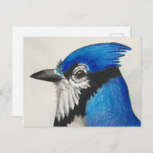 Mister Blue Jay Watercolor Bird Art Postkarte (Vorne/Hinten)