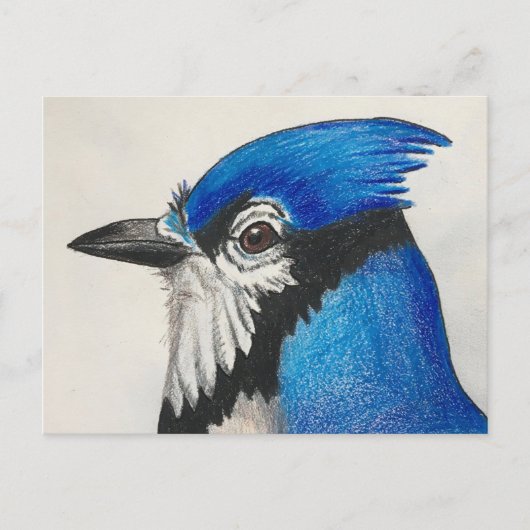 Mister Blue Jay Watercolor Bird Art Postkarte (Vorderseite)