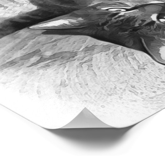 Mister Cat Poster (Ecke)