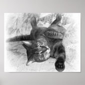 Mister Cat Poster (Vorne)