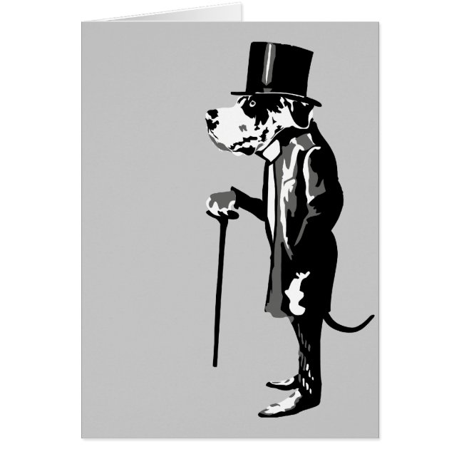 Mister Dane (Vorne)