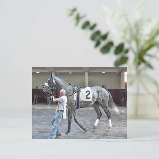 Mister Monolo Postkarte (Stehend Vorderseite)