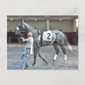 Mister Monolo Postkarte (Vorderseite)