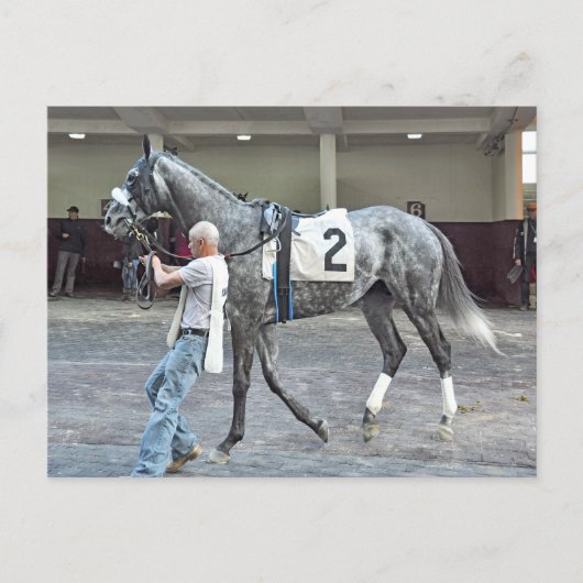 Mister Monolo Postkarte (Vorderseite)