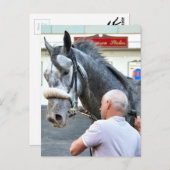 Mister Monolo Postkarte (Vorne/Hinten)