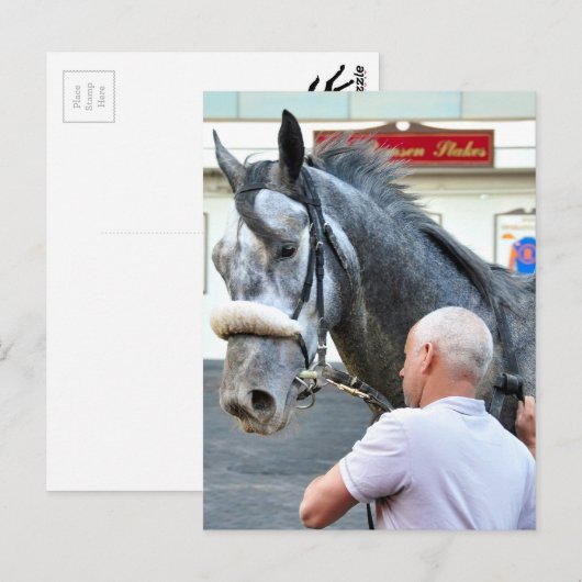 Mister Monolo Postkarte (Vorne/Hinten)