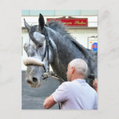 Mister Monolo Postkarte (Vorderseite)