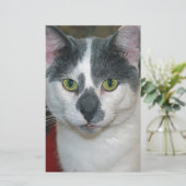 Mister Pants Briefpapier (Stehend Vorderseite)