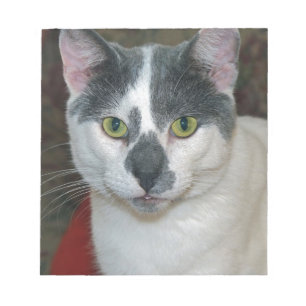 Mister Pants Notizblock