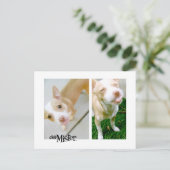 Mister! Zunge! Postkarte (Stehend Vorderseite)