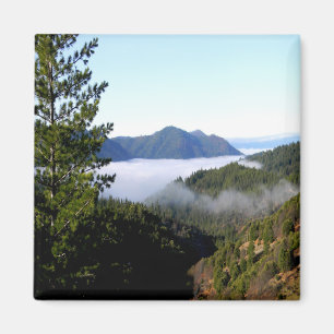 Misting Morgennebel....... Magnet