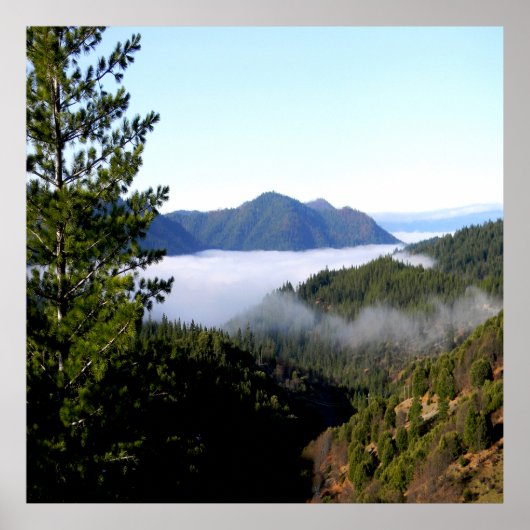 Misting Morgennebel...... Poster (Vorne)