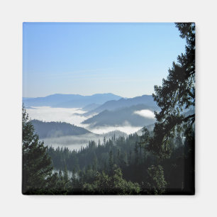 Misting Morning Fog...... Magnet