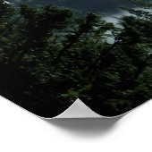 Misting Morning Fog.... Poster (Ecke)
