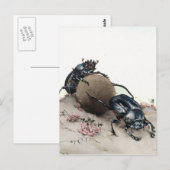 Mistkäfer Postkarte (Vorne/Hinten)
