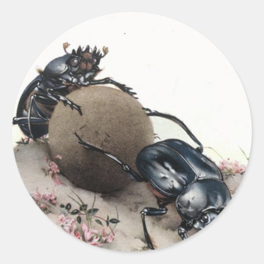 Mistkäfer Runder Aufkleber (Vorderseite)